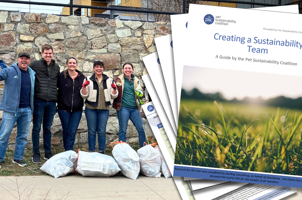 Creating a Sustainability Team