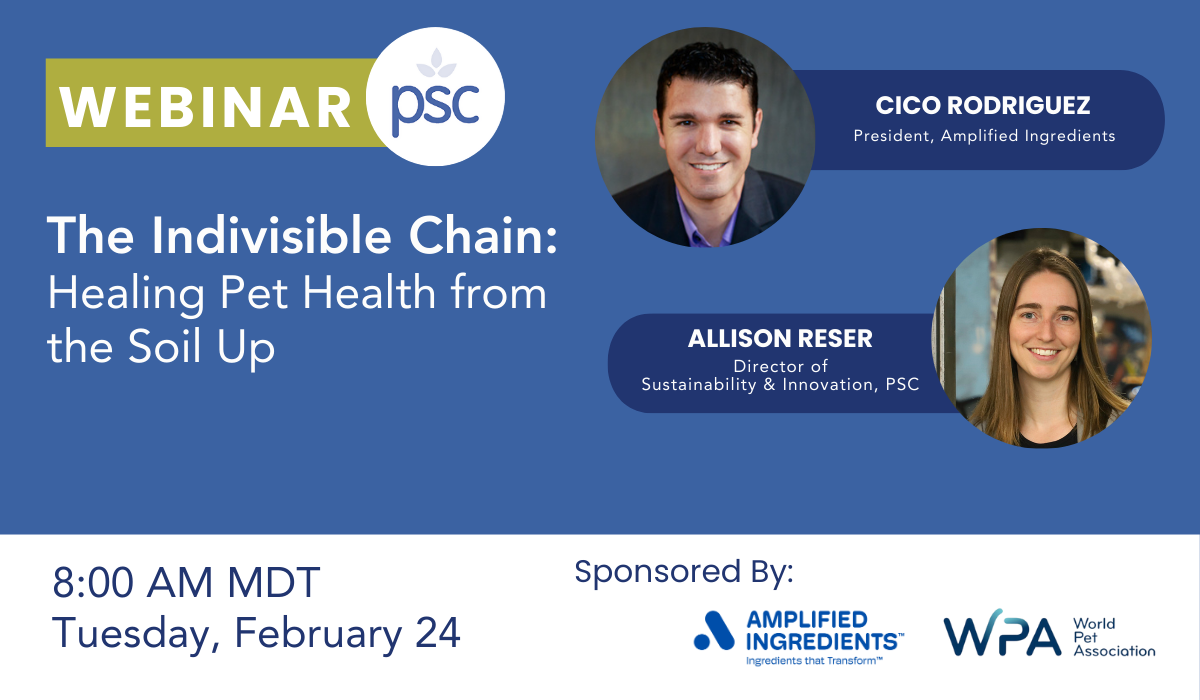 The Indivisible Chain